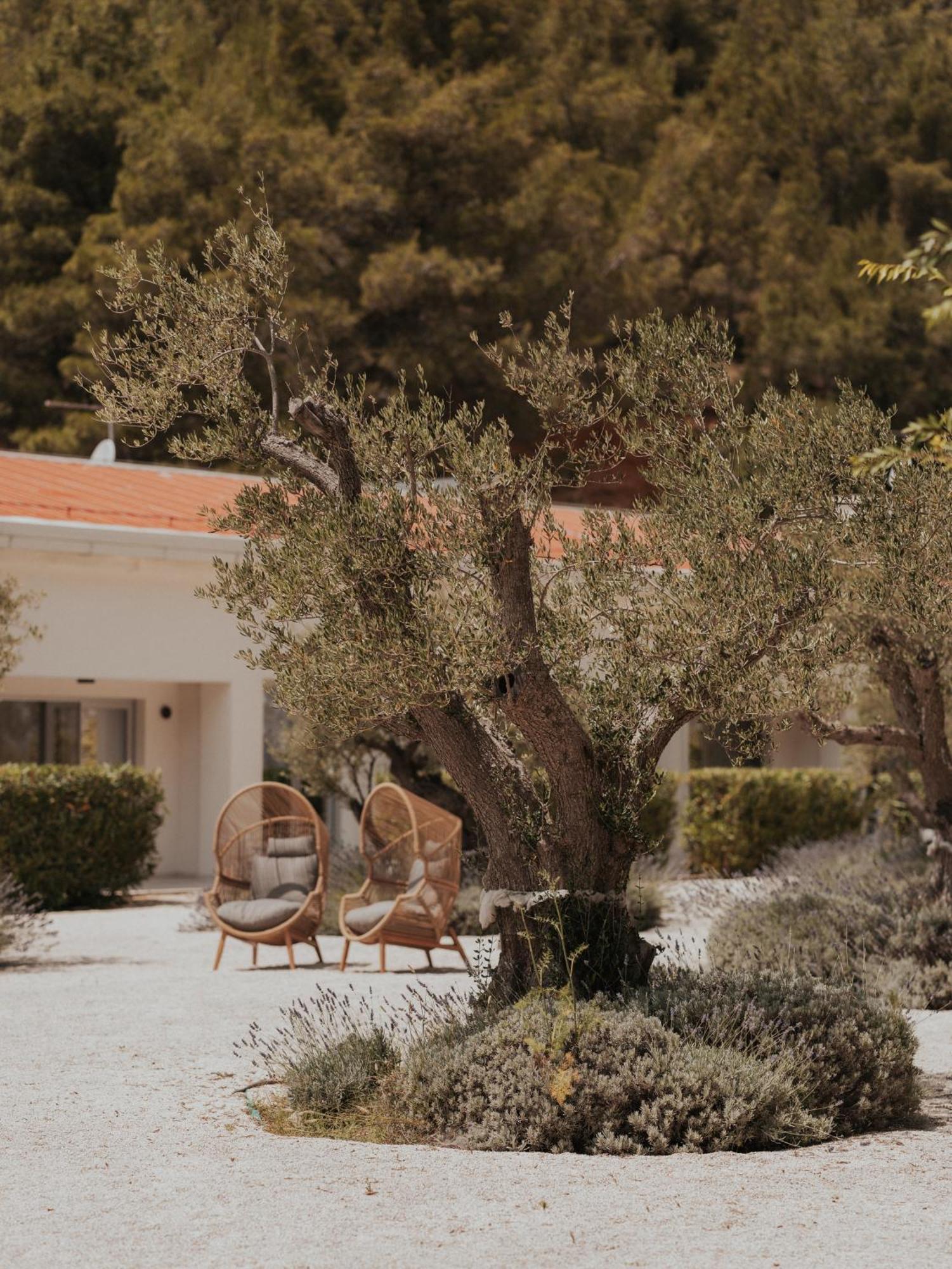 Scardona Park Luxury Accommodation Skradin Zewnętrze zdjęcie